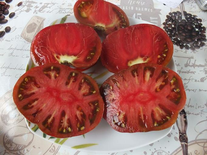 Томат Королева Анна 2