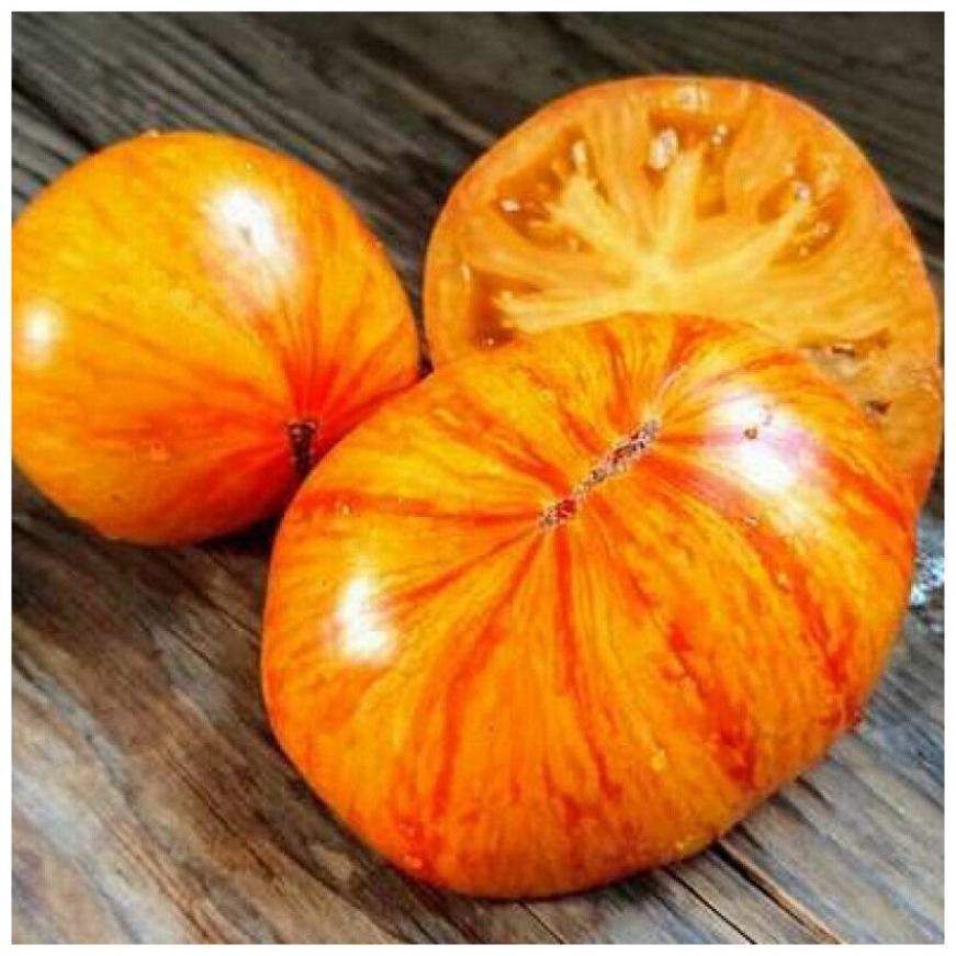 Томат Козула 100 4