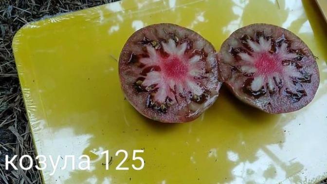 Томат Козула 125 2