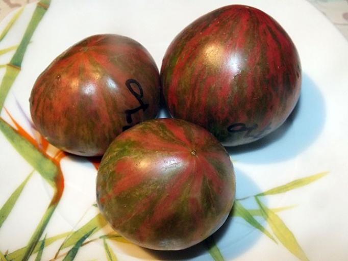 Томат Козула 125 3