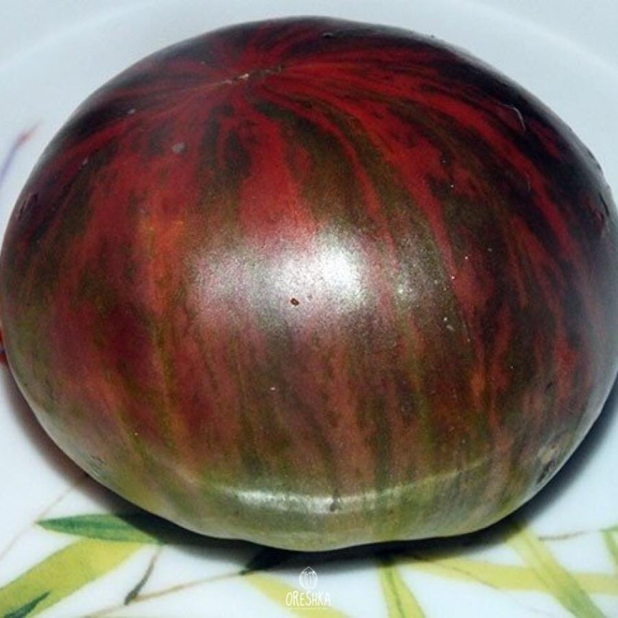 Томат Козула 125