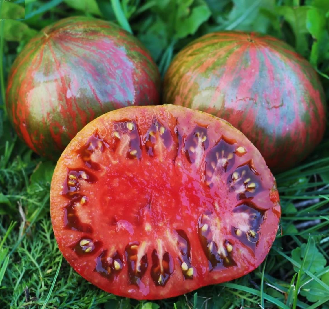 Томат Козула 138 4