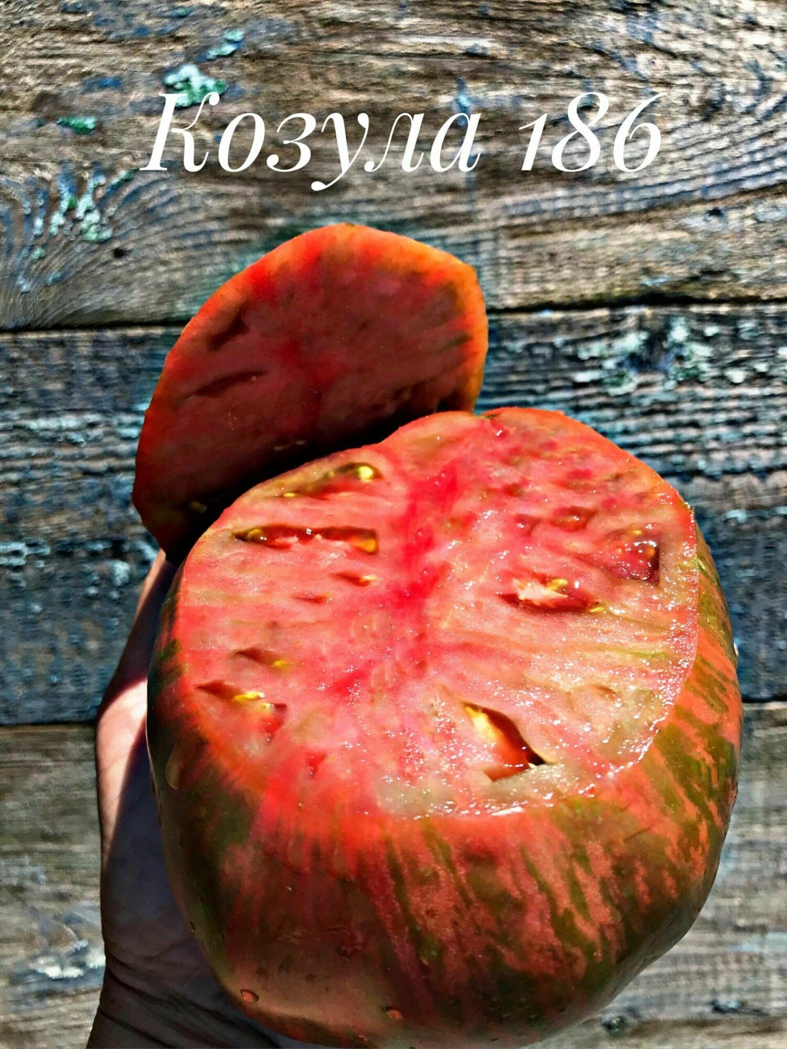 Томат Козула 186 5