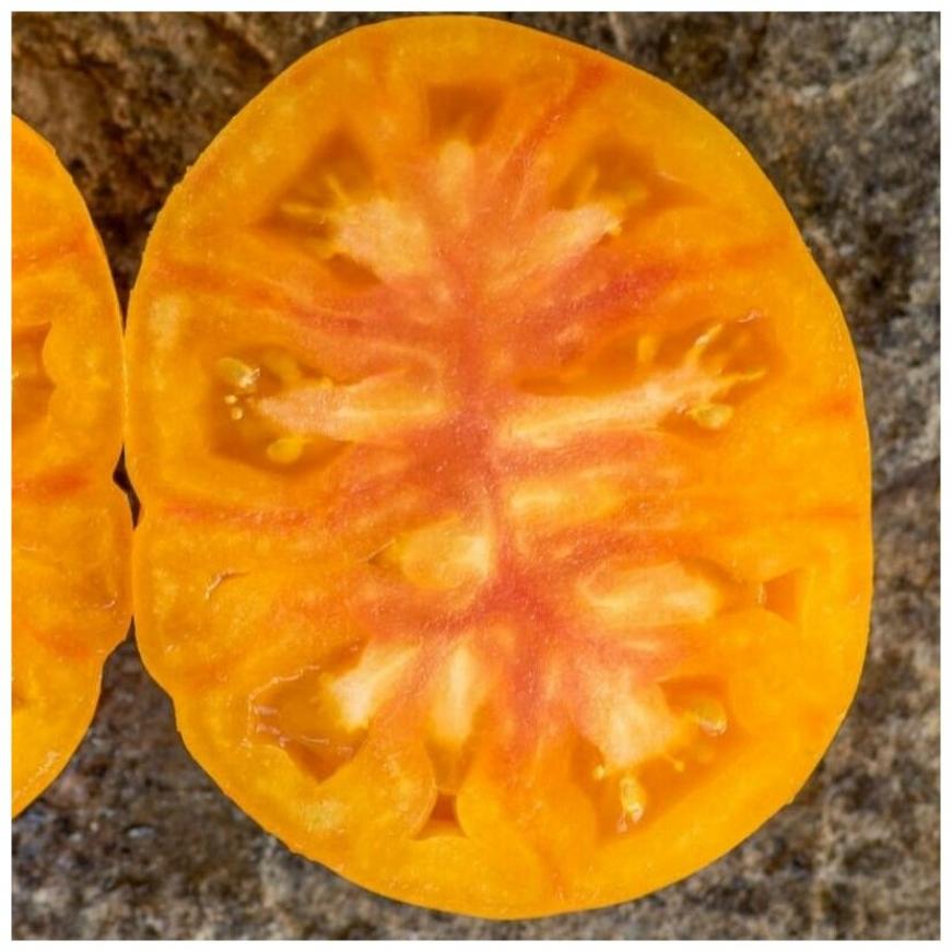 Томат Козула 60 4