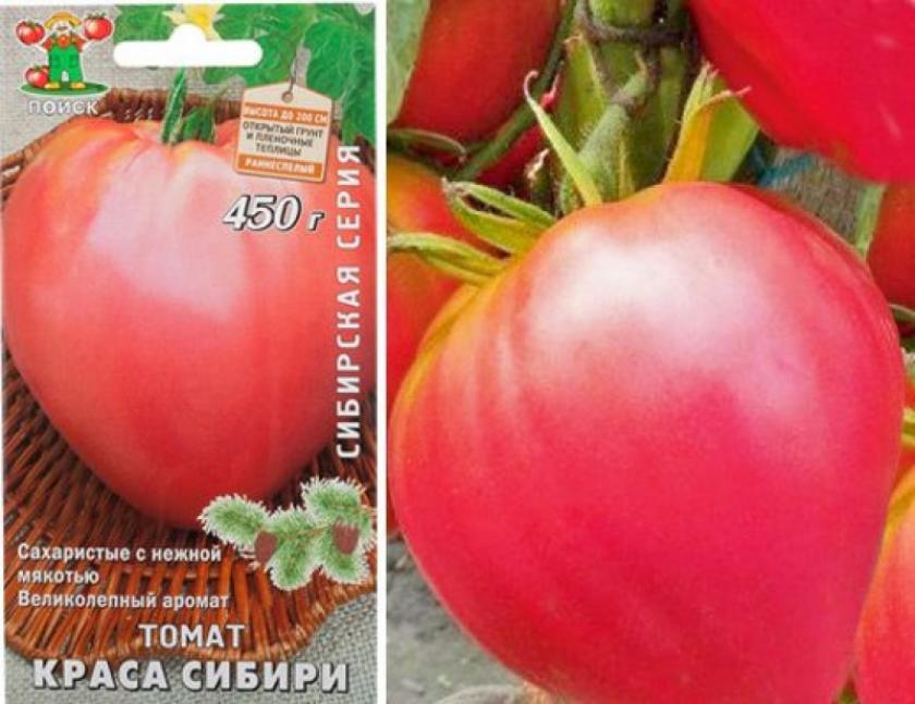 Томат Краса Сибири 3