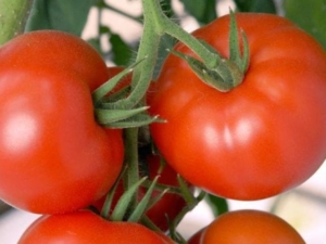 Томат Краснобай
