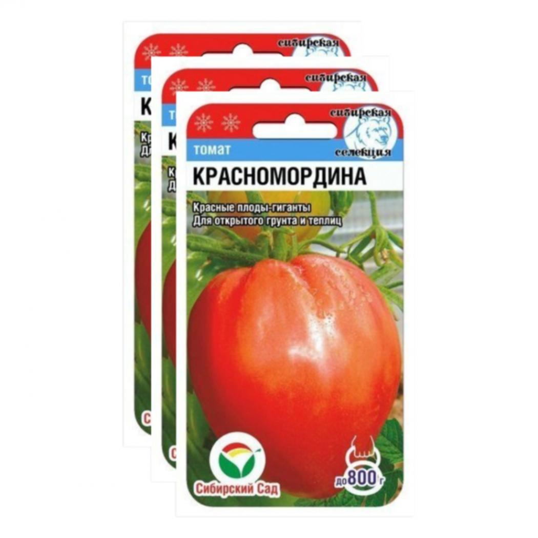 Томат Красномордина 3