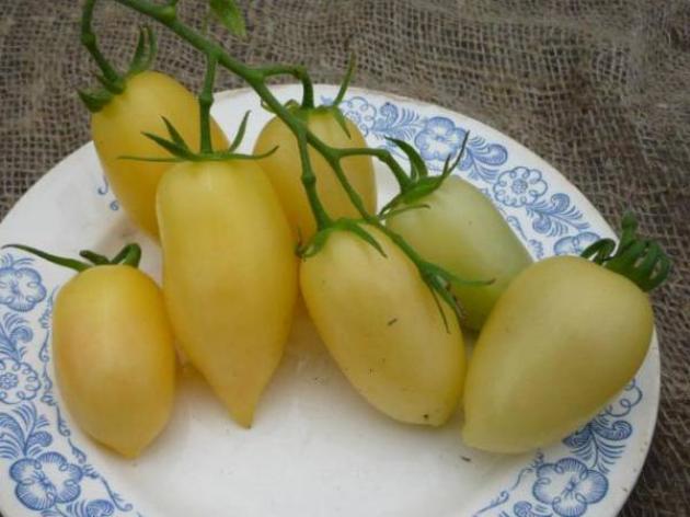 Томат Кремовая сосиска