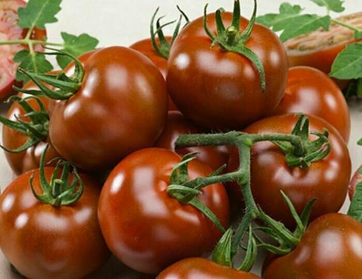 Томат Креолка 2