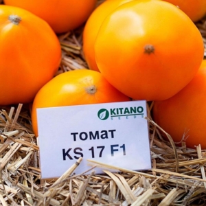 Томат КС 17 (KS 17)