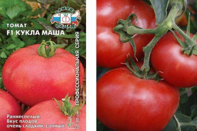Томат Кукла Маша