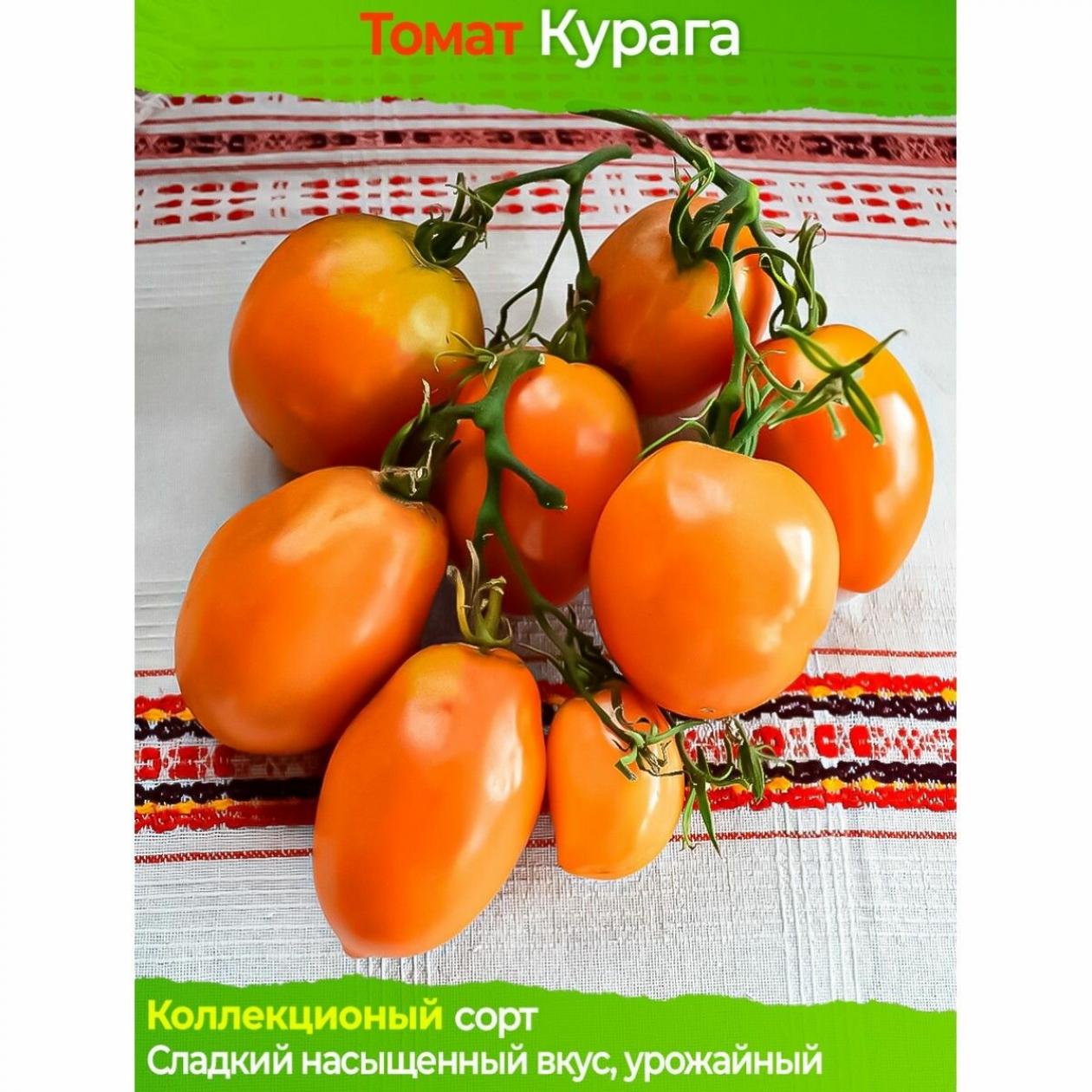Томат Курага