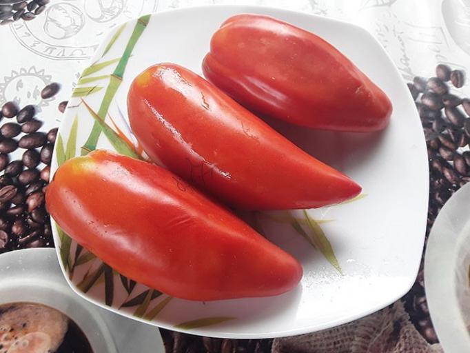 Томат Ларго-де-Хауха 2