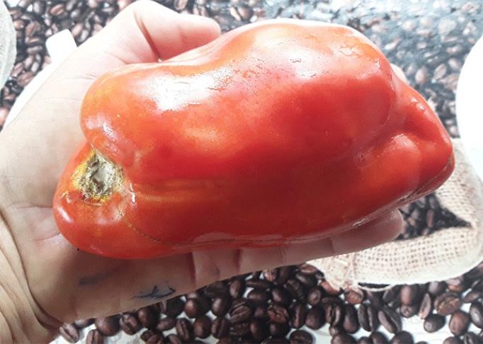 Томат Ларго-де-Хауха 3