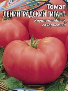 Томат Ленинградский гигант