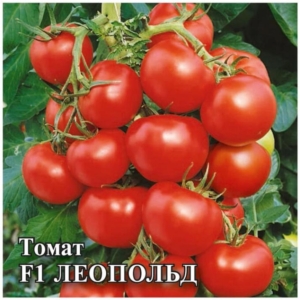 Томат Леопольд
