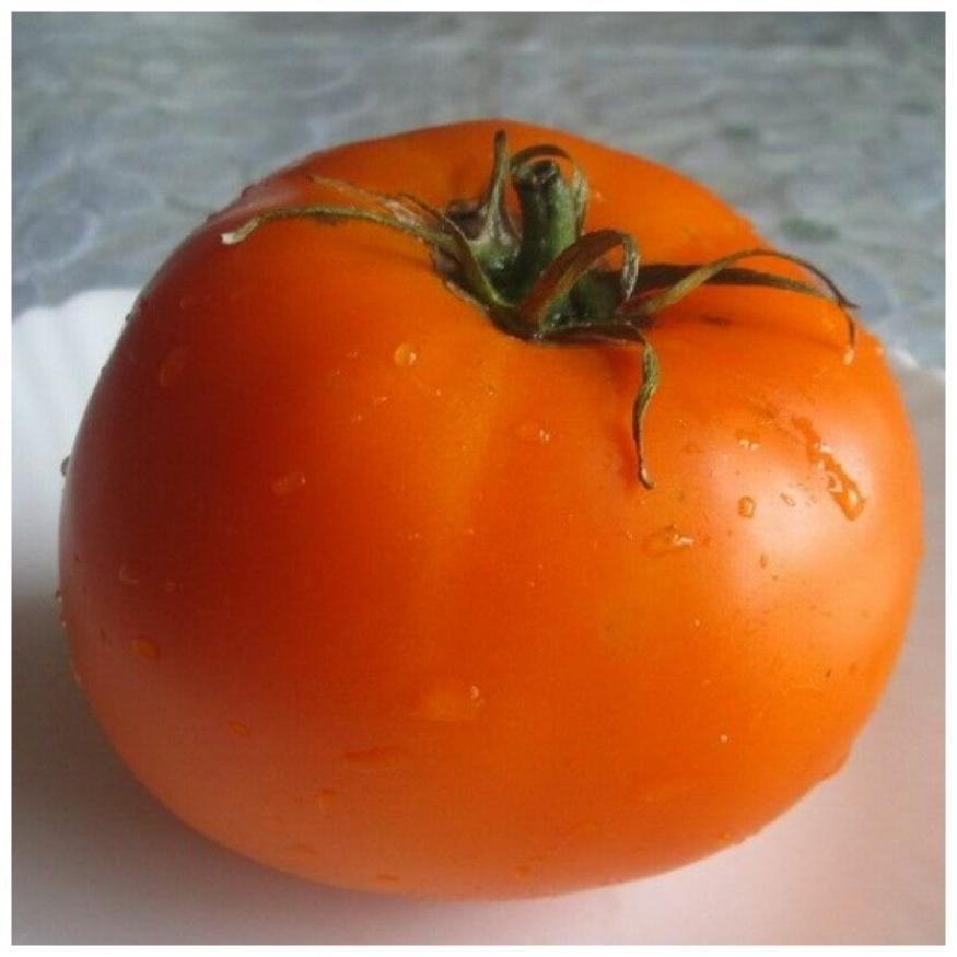 Томат Летний абрикос 6