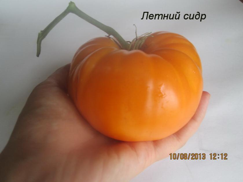 Томат Летний сидр