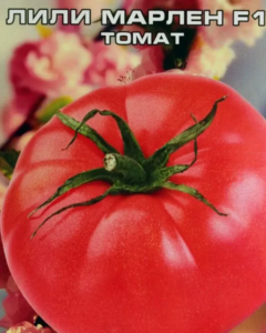 Томат Лили Марлен