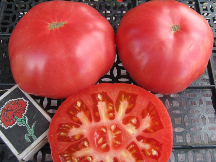 Томат Ливанские Горы 4