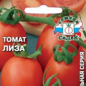 Томат Лиза