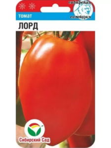 Томат Лорд
