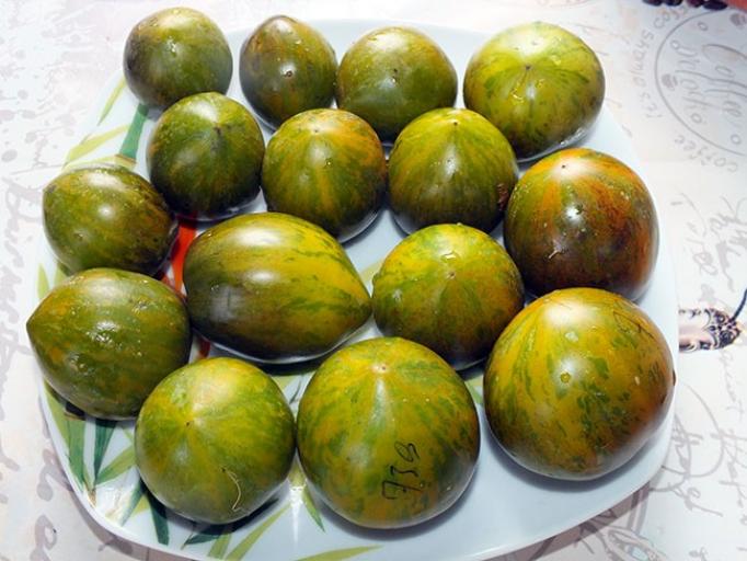 Томат Лунный камень 2