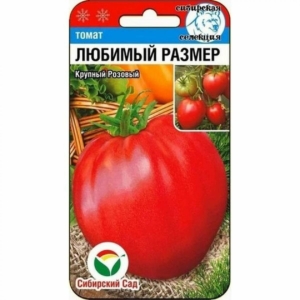 Томат Любимый размер