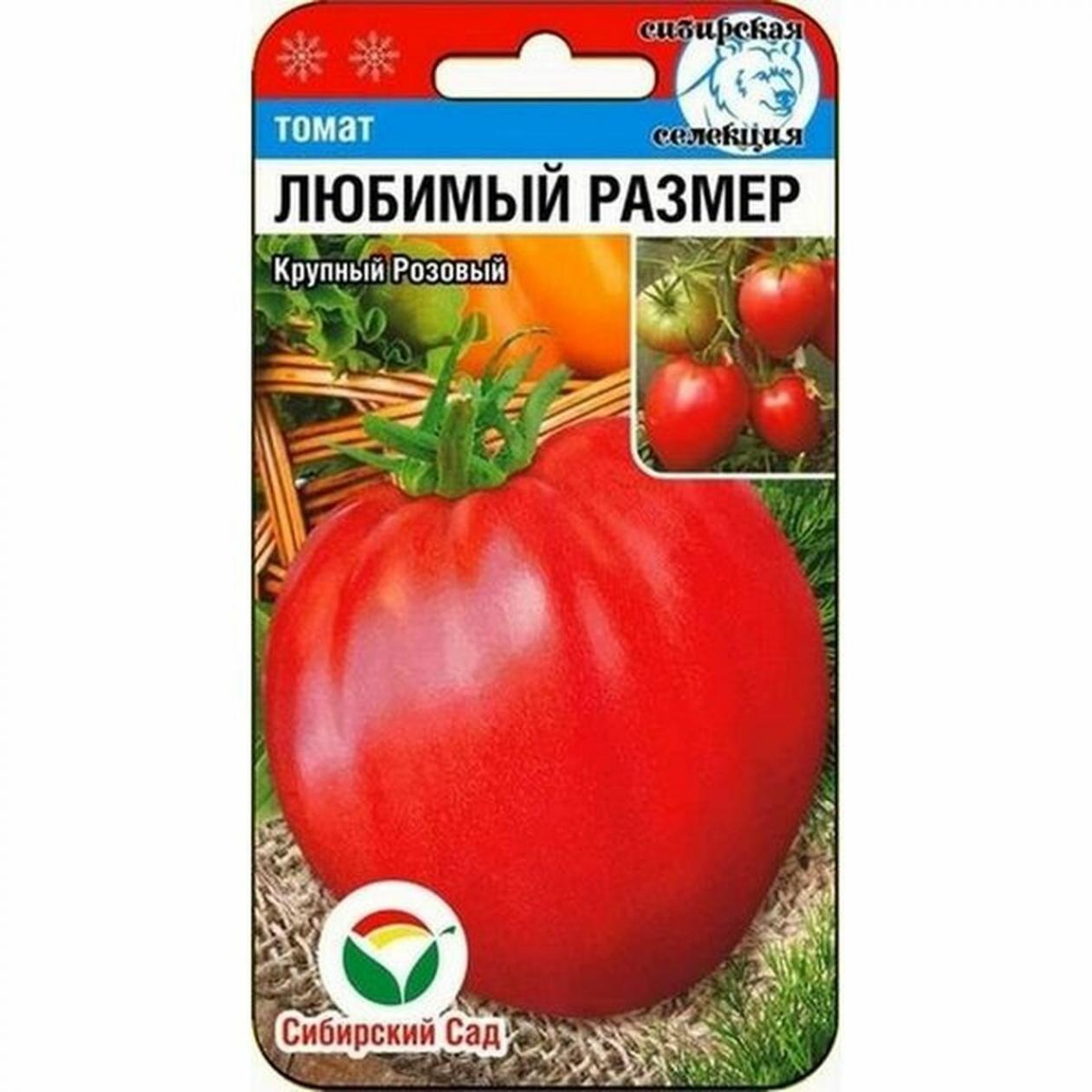 Томат Любимый размер