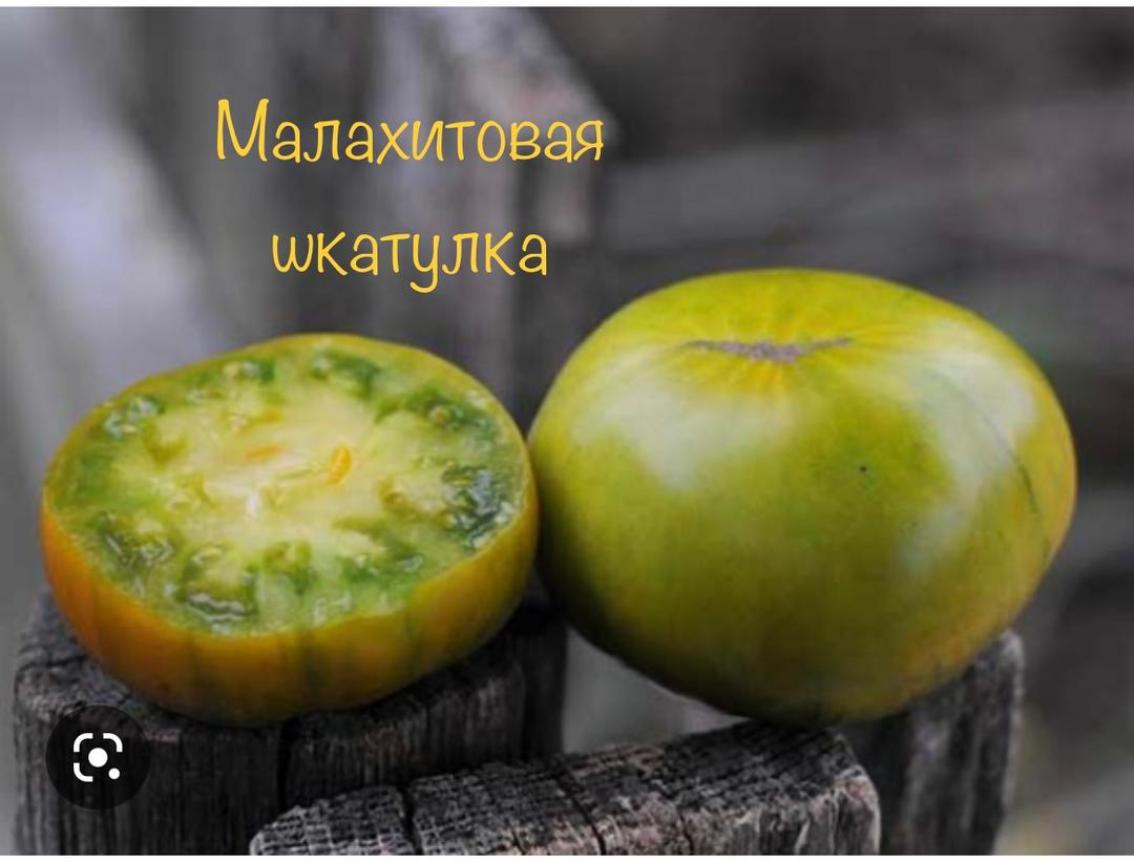 Томат Малахитовая шкатулка 4