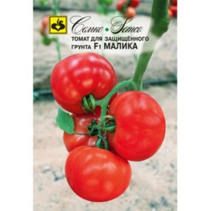 Томат Малика