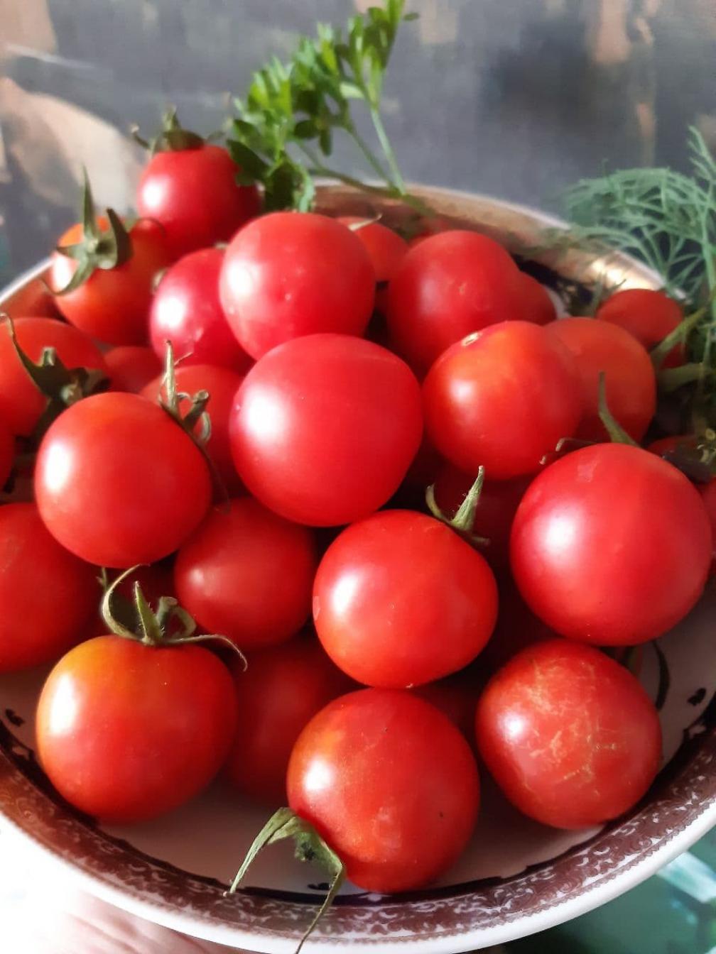 Томат Малина Трестон