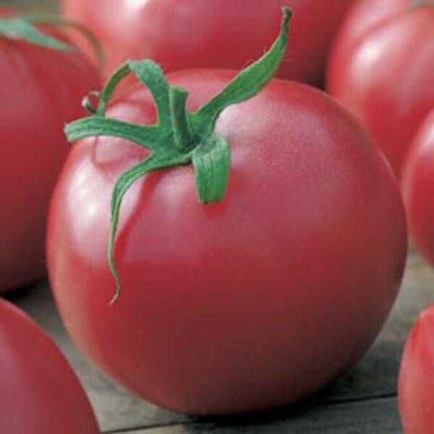 Томат Малиновый цвет 4