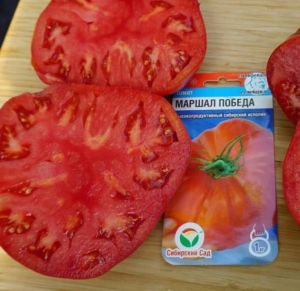 Томат Маршал Победа