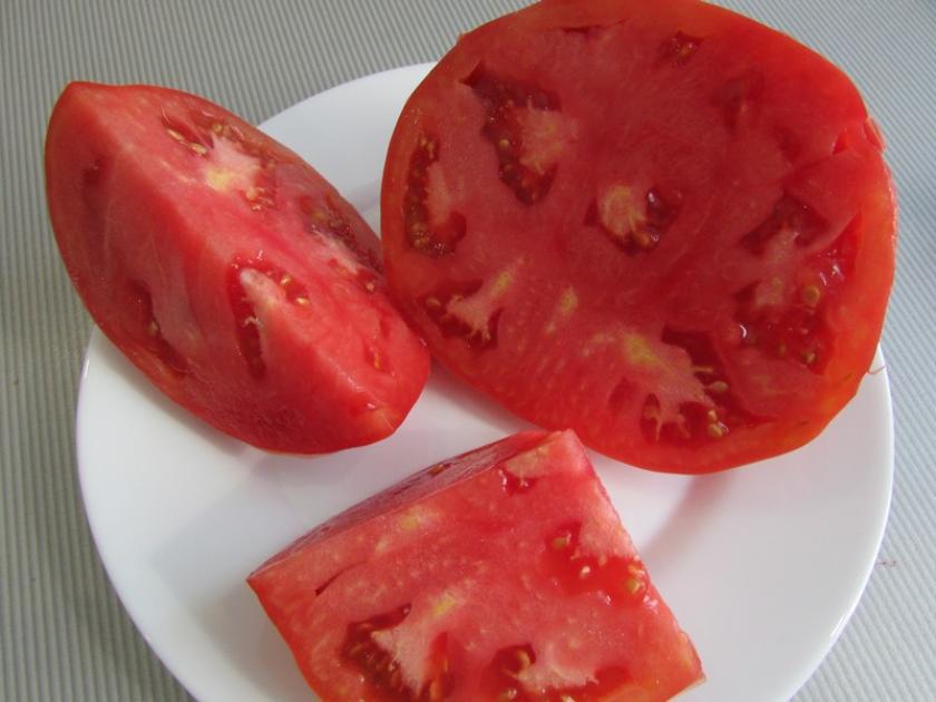 Томат Мастодонт