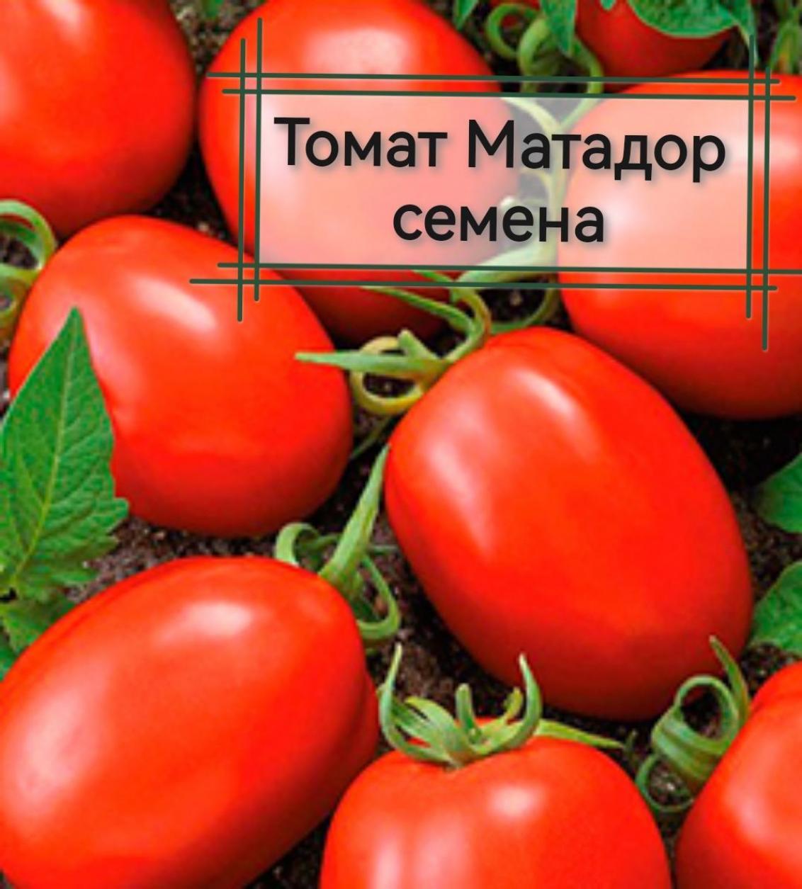 Томат Матадор