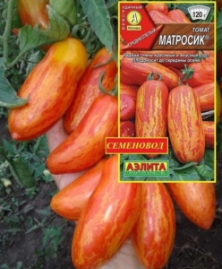 Томат Матросик