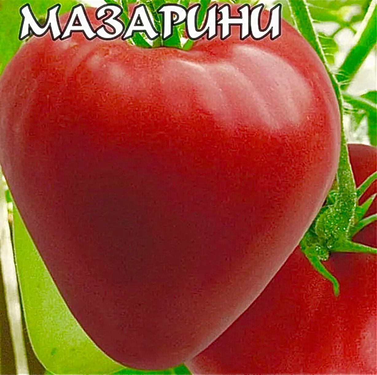 Томат Мазарини 4