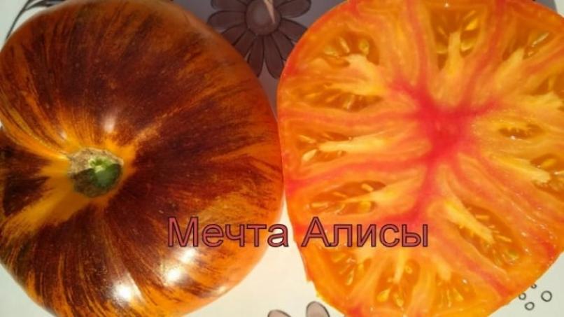 Томат Мечта Алисы 2