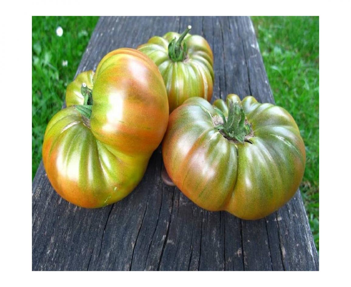 Томат Медная река 2