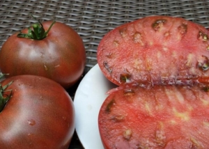 Томат Медвежий Ручей