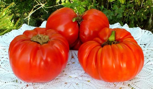 Томат Мега Марв 2