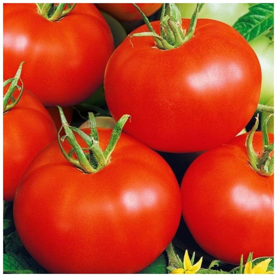 Томат Метрополь 3