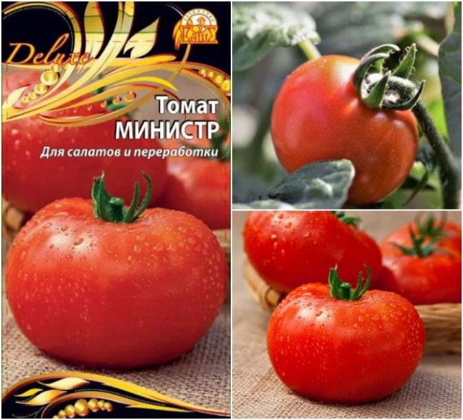 Томат Министр