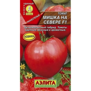 Томат Мишка на Севере
