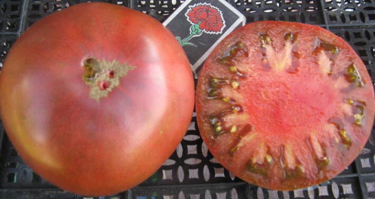 Томат Морадо 2