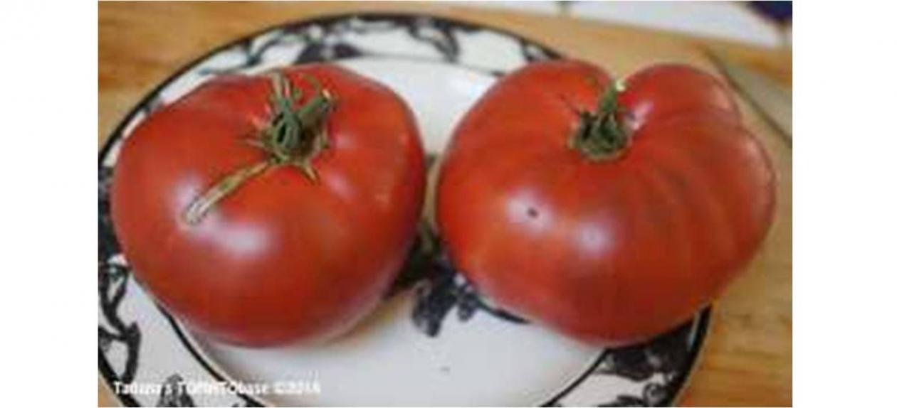 Томат Морадо 3