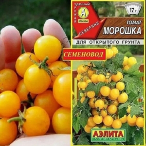 Томат Морошка