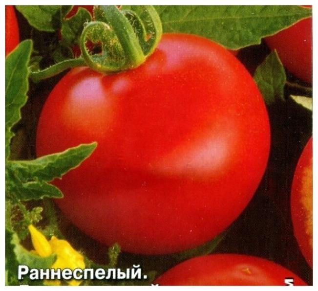 Томат Московский скороспелый 2