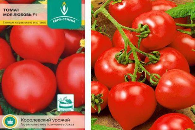 Томат Моя любовь
